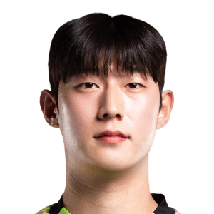 Choi Jin Woong