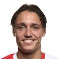 van den Elshout