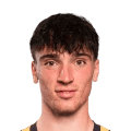 Cacciamani