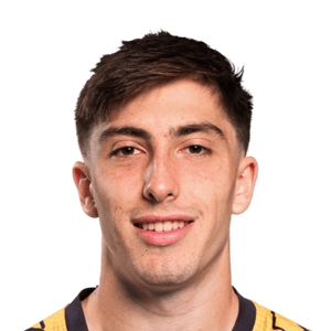 Mannini
