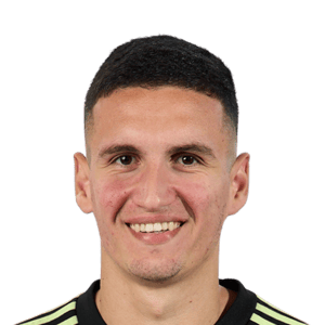 Igor Nikic