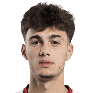 Mituljikić