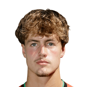 Merijn van de Wiel