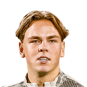 Robin van Duiven