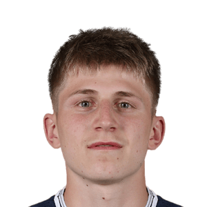 Dragicevic