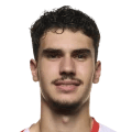 van Persie
