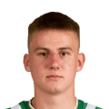 Madarász