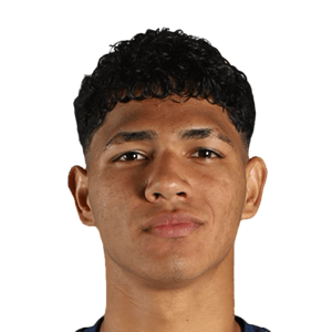 Dilan Villarreal
