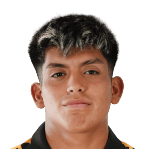 Dixon Pereira