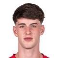 Luisinho