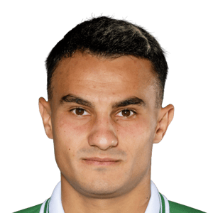 Haris Ismailcebioglu