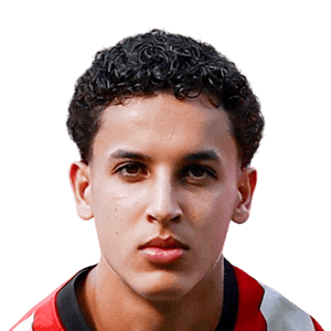 Amir Bouhamdi
