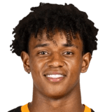 Bruninho