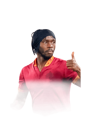 Gervinho
