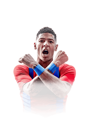 van Aanholt