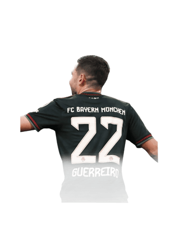 Guerreiro