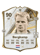Dennis Bergkamp no FC 27