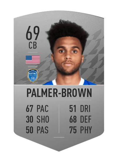 Erik Palmer-Brown Common 69 OVR