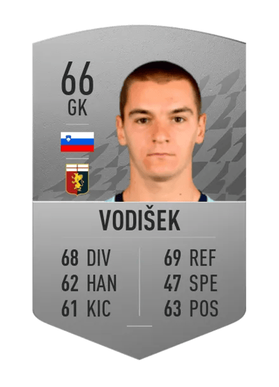 Rok Vodišek Common 66 OVR