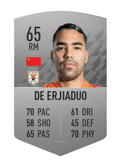 De Erjiaduo Common 65 OVR
