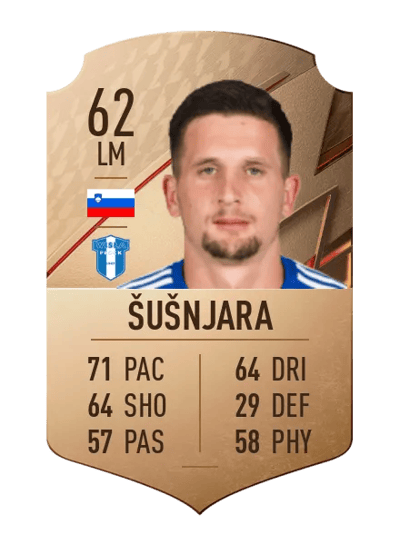 Luka Šušnjara Rare 62 OVR