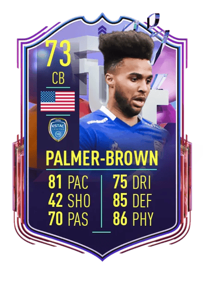 Erik Palmer-Brown Fantasy FUT Upgrade 73 OVR