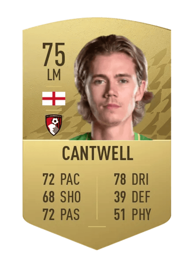 Todd Cantwell Common 75 OVR