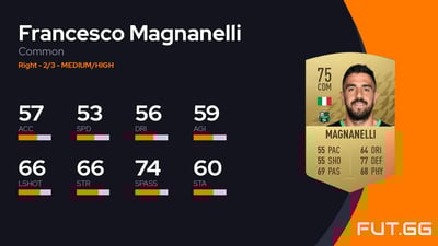 Francesco Magnanelli