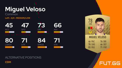 Miguel Veloso