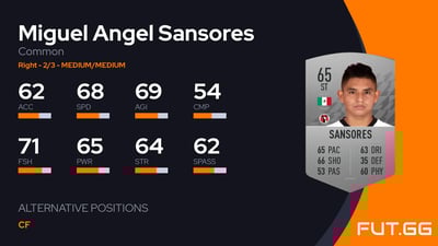 Miguel Angel Sansores