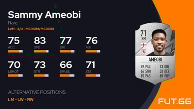 Sammy Ameobi