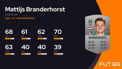 Mattijs Branderhorst