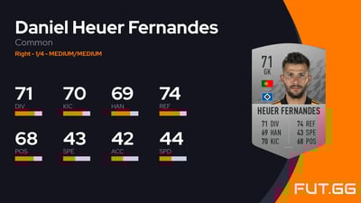 Daniel Heuer Fernandes