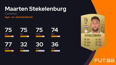 Maarten Stekelenburg