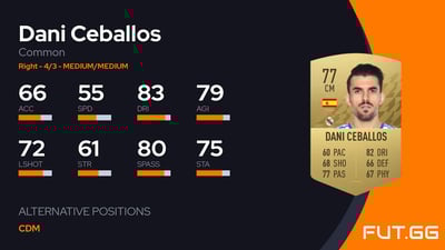 Dani Ceballos