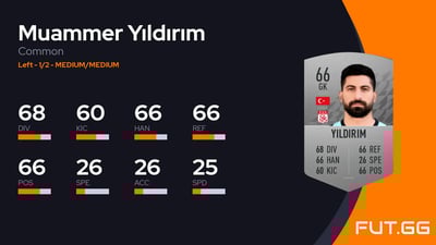 Muammer Yıldırım