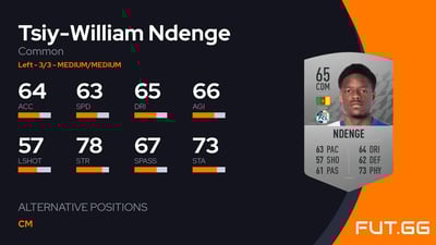 Tsiy-William Ndenge