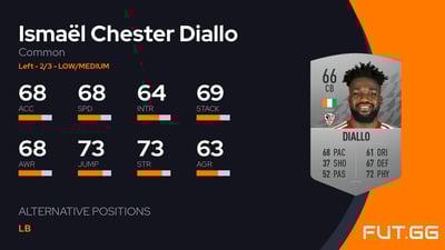 Ismaël Chester Diallo