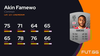 Akin Famewo