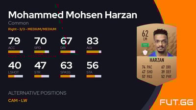 Mohammed Mohsen Harzan