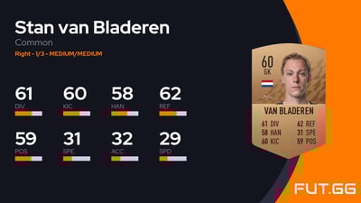 Stan van Bladeren