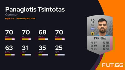 Panagiotis Tsintotas