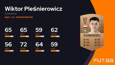 Wiktor Pleśnierowicz