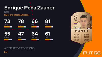 Enrique Peña Zauner