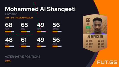 Mohammed Al Shanqeeti