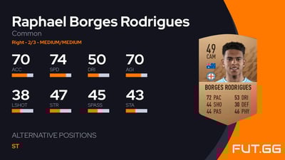 Raphael Borges Rodrigues