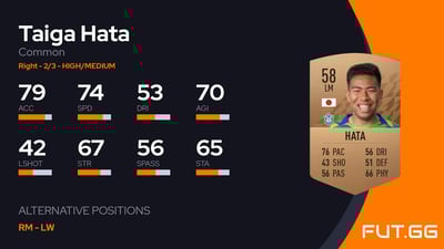 Taiga Hata