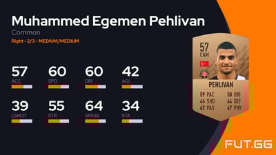 Muhammed Egemen Pehlivan