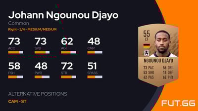 Johann Ngounou Djayo