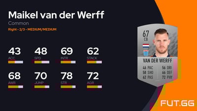 Maikel van der Werff